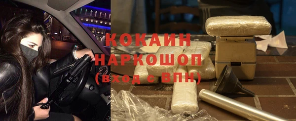 гидра Алексин