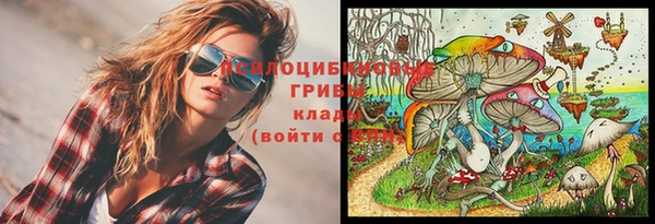 а пвп мука Алзамай